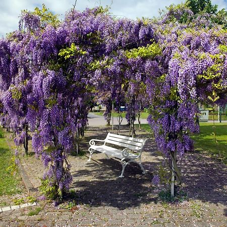 Appartamento Mann Un Fru - Residenz Am Yachthafen Kirchdorf  Esterno foto