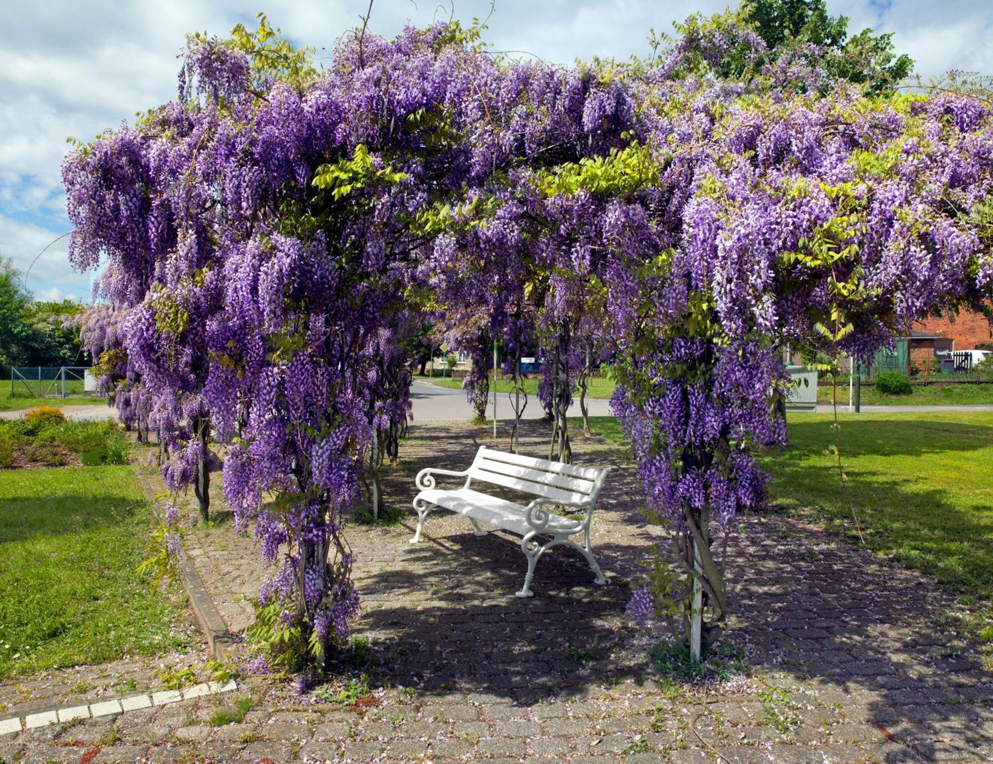 Appartamento Mann Un Fru - Residenz Am Yachthafen Kirchdorf  Esterno foto