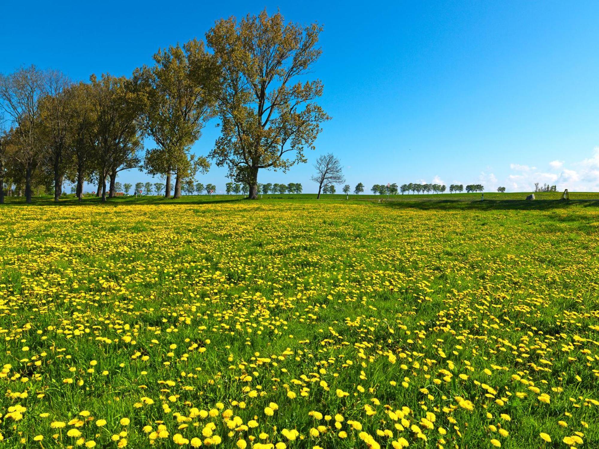 Appartamento Mann Un Fru - Residenz Am Yachthafen Kirchdorf  Esterno foto